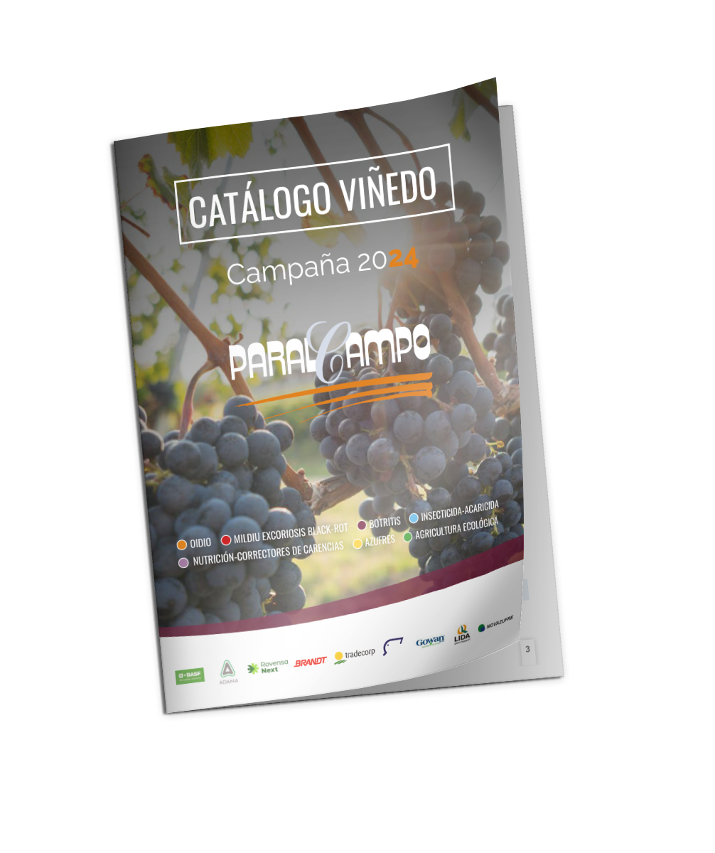 catalo_vinedo_portada