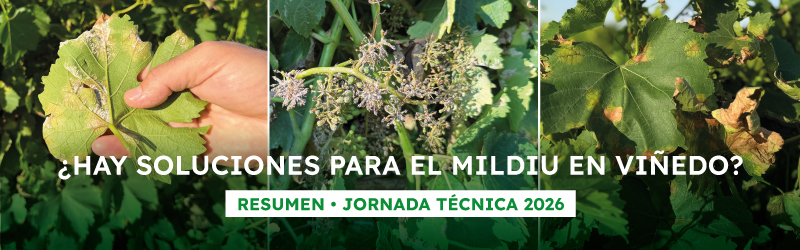 Jornadas-Mildiu-en-Viñedo-2026-banner